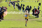 Boys Under-13s 2022 CAU Inter Counties Cross Country, Prestwold Hall, Loughborough.  Photo: David T. Hewitson/Sports for All Pics